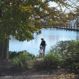 Meet your Posher, Paula